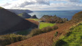 Hollerday Hill, The Valley of Rocks and South Cleave from Lynton