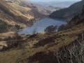 View of Llyn Crafnant at the far end of this walk