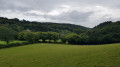 view over Cardinham woods from meadows