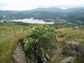 View over Windermere and Western Fells from Wansfell Pike